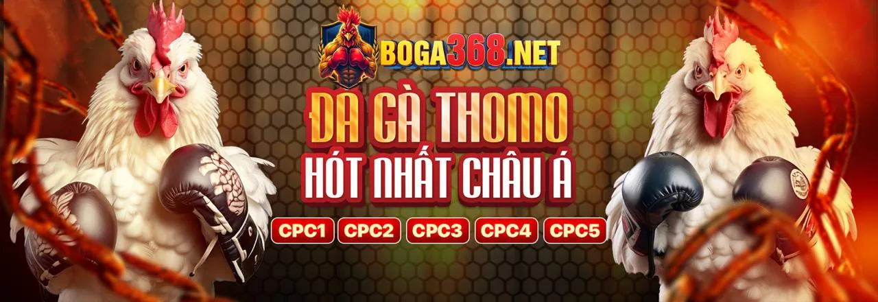 Hình ảnh Câu Lạc Bộ VIP 8bet app sang trọng
